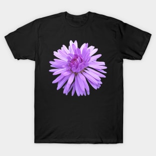 purple flower, flowers, nature, blooms, violet T-Shirt